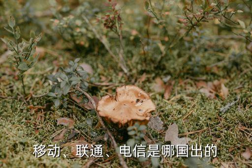 移動、聯(lián)通、電信是哪國出的