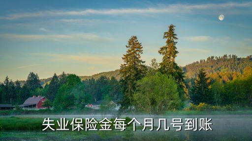  失業(yè)保險(xiǎn)金每個(gè)月幾號到賬