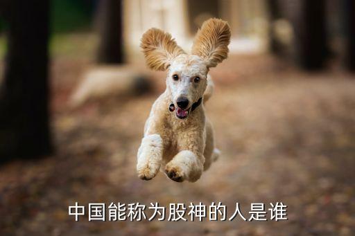 中國(guó)能稱(chēng)為股神的人是誰(shuí)