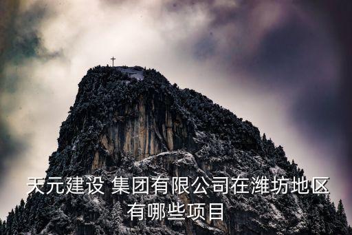  天元建設 集團有限公司在濰坊地區(qū)有哪些項目
