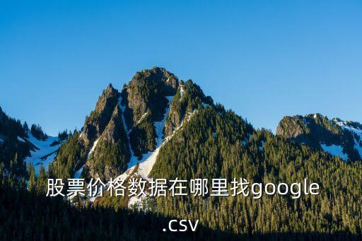  股票價格數(shù)據在哪里找google.csv