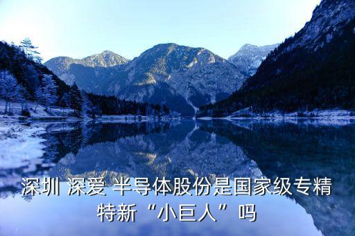 深?lèi)?ài)半導(dǎo)體公司好進(jìn)嗎