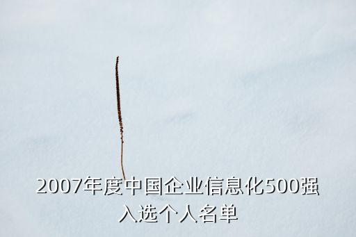 2007年度中國企業(yè)信息化500強入選個人名單