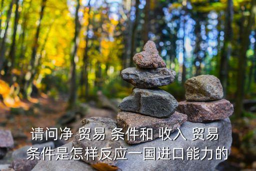 中國收入貿(mào)易條件,收入轉(zhuǎn)移對(duì)貿(mào)易條件的影響