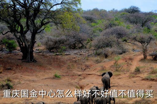 重慶國(guó)金中心怎么樣好不好值不值得買(mǎi)