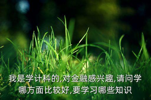 我是學(xué)計(jì)科的,對金融感興趣,請問學(xué)哪方面比較好,要學(xué)習(xí)哪些知識(shí)