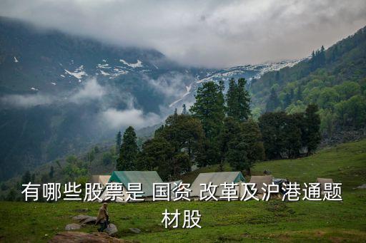 有哪些股票是 國資 改革及滬港通題材股