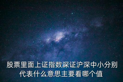  股票里面上證指數深證滬深中小分別代表什么意思主要看哪個值