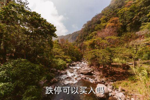 跌?？梢再I入嗎