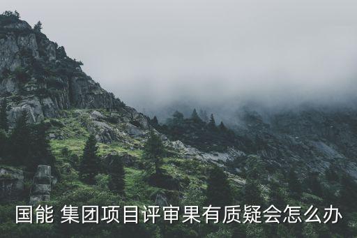 國能 集團(tuán)項目評審果有質(zhì)疑會怎么辦
