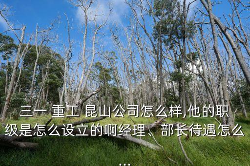 三一 重工 昆山公司怎么樣,他的職級(jí)是怎么設(shè)立的啊經(jīng)理、部長(zhǎng)待遇怎么...