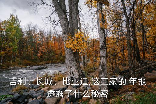 吉利、長城、比亞迪,這三家的 年報透露了什么秘密