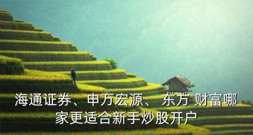 海通證券、申萬宏源、 東方 財富哪家更適合新手炒股開戶