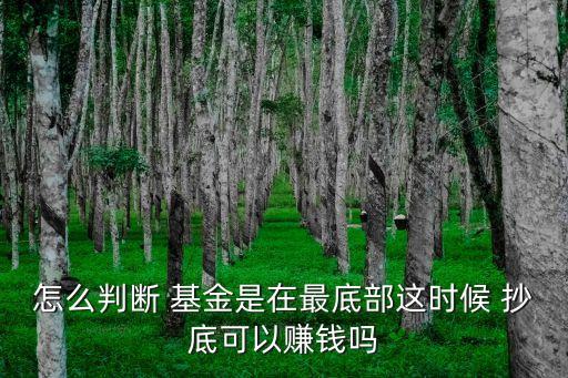 怎么判斷 基金是在最底部這時(shí)候 抄底可以賺錢(qián)嗎
