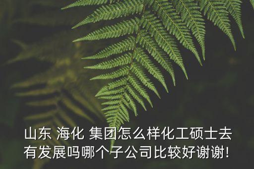  山東 ?；?集團怎么樣化工碩士去有發(fā)展嗎哪個子公司比較好謝謝!
