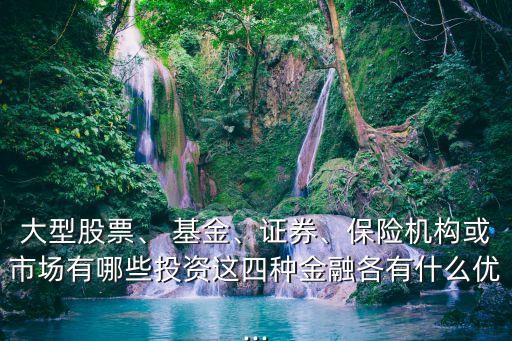 大型股票、 基金、證券、保險機構或市場有哪些投資這四種金融各有什么優(yōu)...