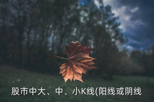 股市中大、中、小K線(陽線或陰線