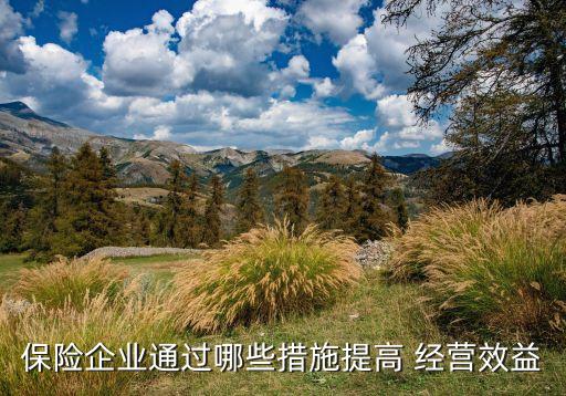 保險企業(yè)通過哪些措施提高 經營效益