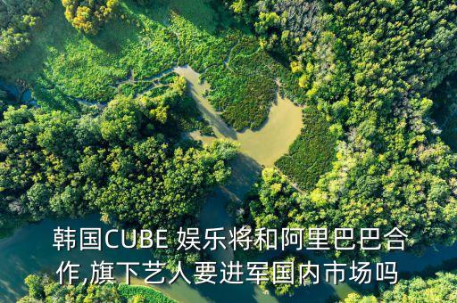 收購(gòu)韓國(guó)娛樂公司,韓國(guó)sm公司收購(gòu)