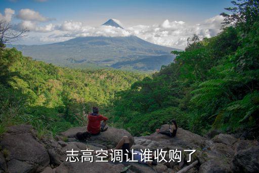  志高空調讓誰收購了
