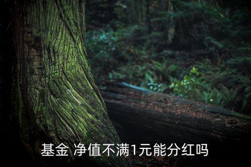 權(quán)益投資顧問(wèn)不得低于什么凈值,投資單只權(quán)益類理財(cái)產(chǎn)品不得低于