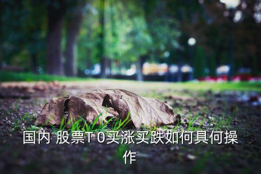 國內 股票T 0買漲買跌如何具何操作