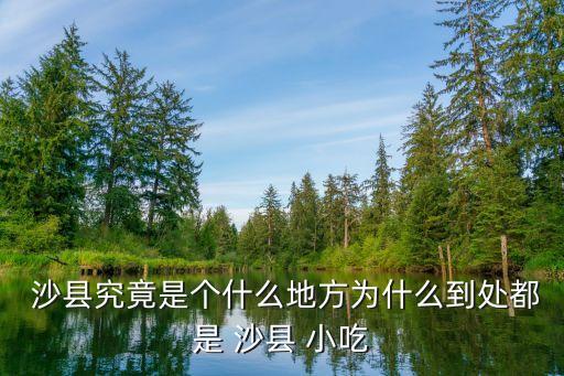 沙縣小吃集團有限公司