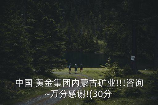 中國(guó) 黃金集團(tuán)內(nèi)蒙古礦業(yè)!!!咨詢~萬(wàn)分感謝!(30分