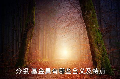  分級(jí) 基金具有哪些含義及特點(diǎn)
