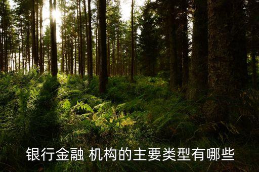  銀行金融 機(jī)構(gòu)的主要類(lèi)型有哪些