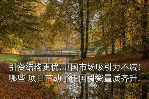 引資結(jié)構(gòu)更優(yōu),中國市場吸引力不減!哪些 項(xiàng)目帶動了中國引資量質(zhì)齊升...
