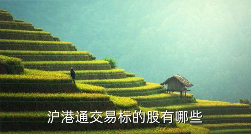 上?？菩窆善?上海建科股票發(fā)行價是多少