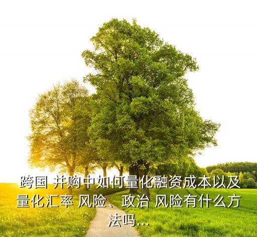  跨國 并購中如何量化融資成本以及量化匯率 風(fēng)險(xiǎn)、政治 風(fēng)險(xiǎn)有什么方法嗎...