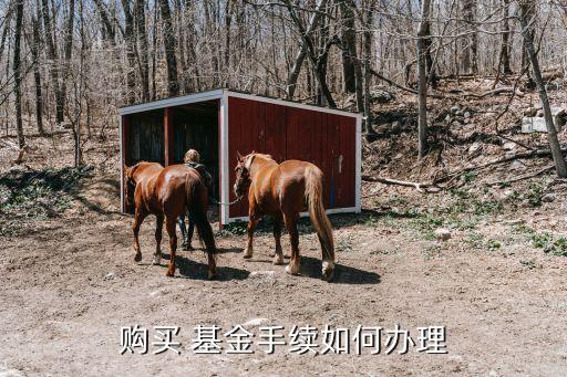 購(gòu)買(mǎi) 基金手續(xù)如何辦理