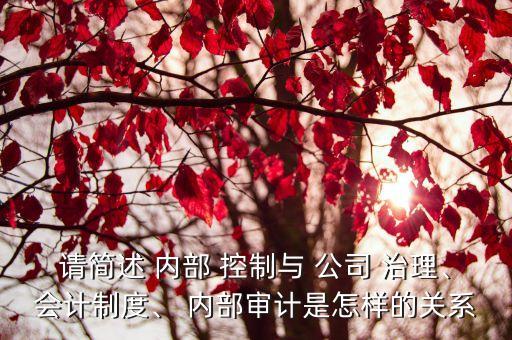 請簡述 內(nèi)部 控制與 公司 治理、會(huì)計(jì)制度、 內(nèi)部審計(jì)是怎樣的關(guān)系