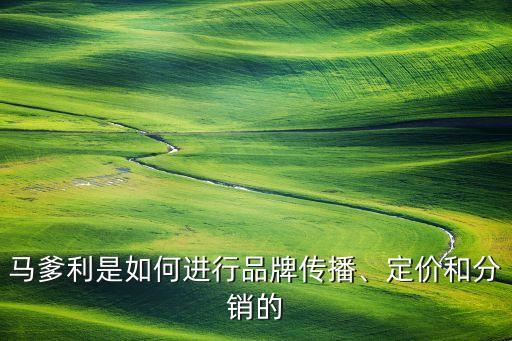 馬爹利是如何進(jìn)行品牌傳播、定價(jià)和分銷的
