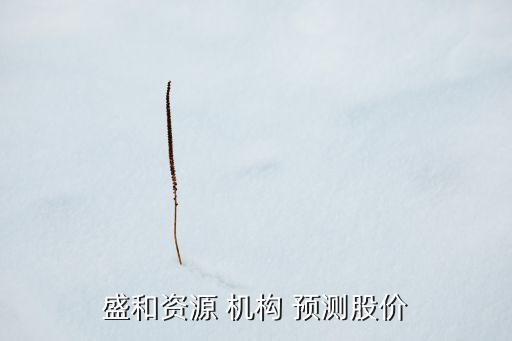 盛和資源 機構 預測股價