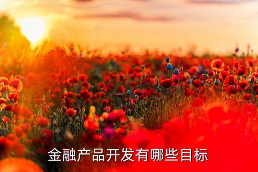 金融產(chǎn)品開發(fā)有哪些目標