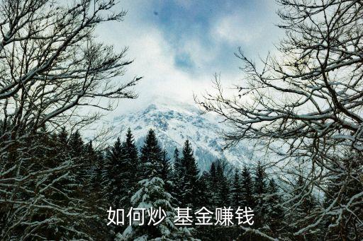基金操盤手,社?；鸩俦P手
