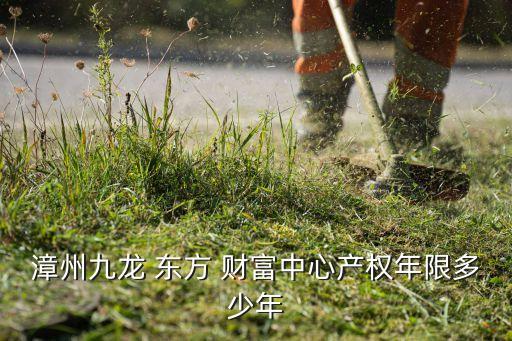 漳州九龍 東方 財富中心產(chǎn)權年限多少年