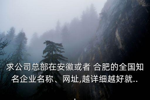 求公司總部在安徽或者 合肥的全國知名企業(yè)名稱、網(wǎng)址,越詳細越好就...