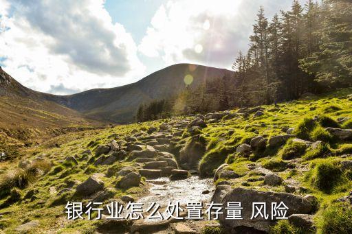  銀行業(yè)怎么處置存量 風險