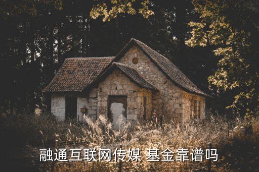 融通互聯(lián)網傳媒 基金靠譜嗎