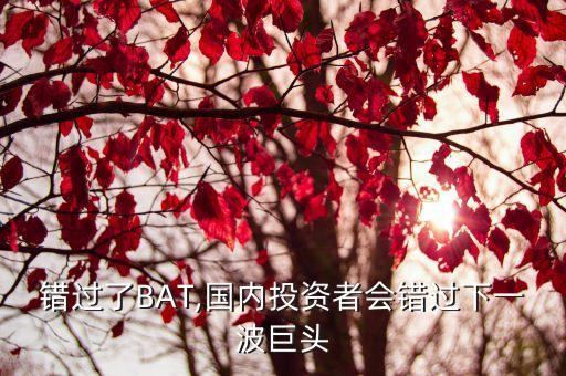 錯(cuò)過了BAT,國內(nèi)投資者會(huì)錯(cuò)過下一波巨頭