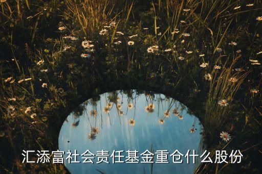  匯添富社會責(zé)任基金重倉什么股份