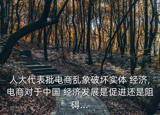 人大代表批電商亂象破壞實(shí)體 經(jīng)濟(jì),電商對于中國 經(jīng)濟(jì)發(fā)展是促進(jìn)還是阻礙...