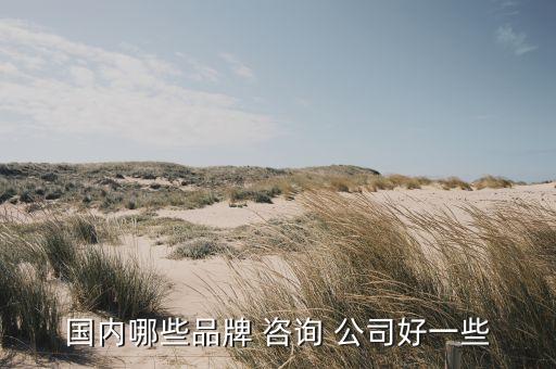 國(guó)內(nèi)哪些品牌 咨詢 公司好一些