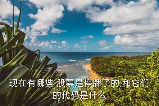現在有哪些 股票是停牌了的,和它們的代碼是什么