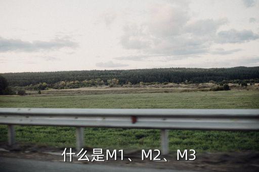 什么是M1、M2、M3
