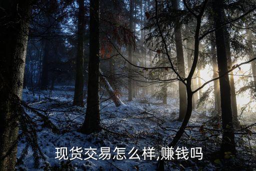  現(xiàn)貨交易怎么樣,賺錢(qián)嗎